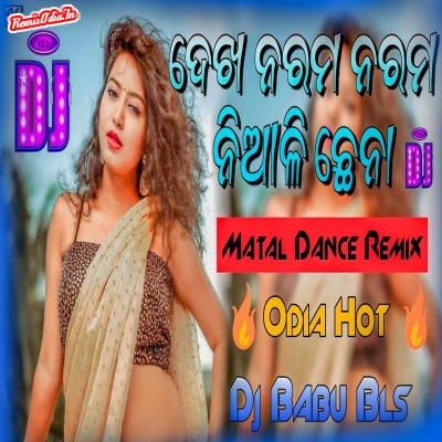 Dekha Narama Narama Niali Chena Song Dj